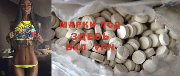 дмт Пестово