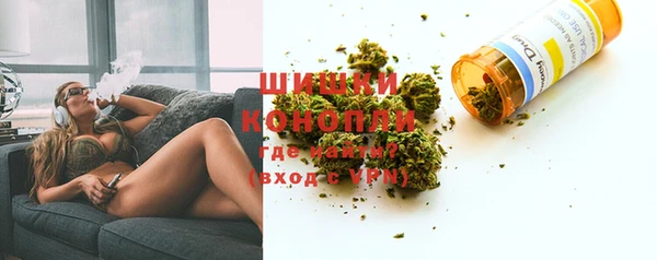 эйфоретик Пересвет