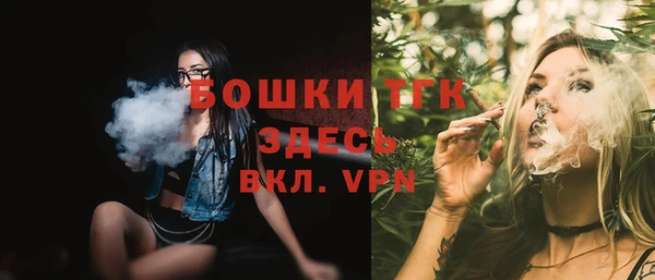 дмт Пестово
