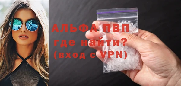стафф Алексин
