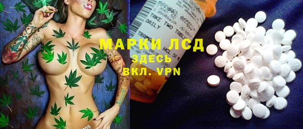 стафф Алексин