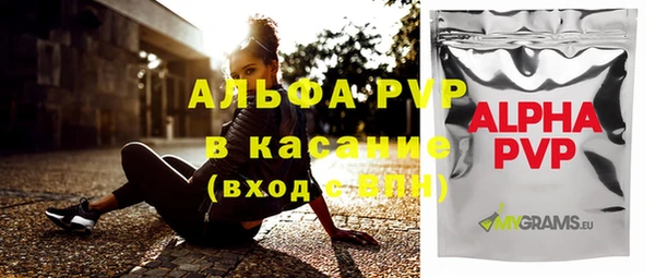 стафф Алексин