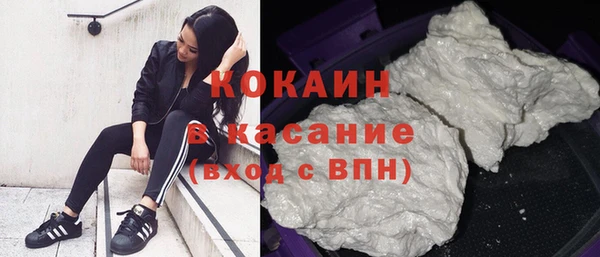 твердый Алзамай